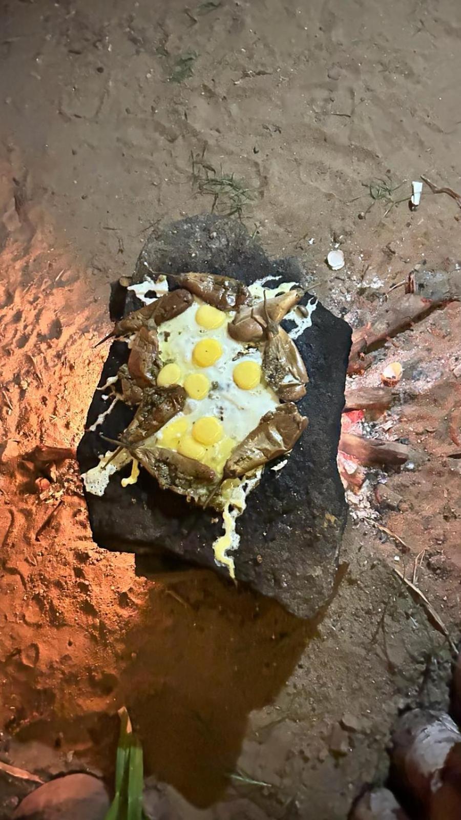 Hakuna Matata Arugambay Arugam Bay Luaran gambar
